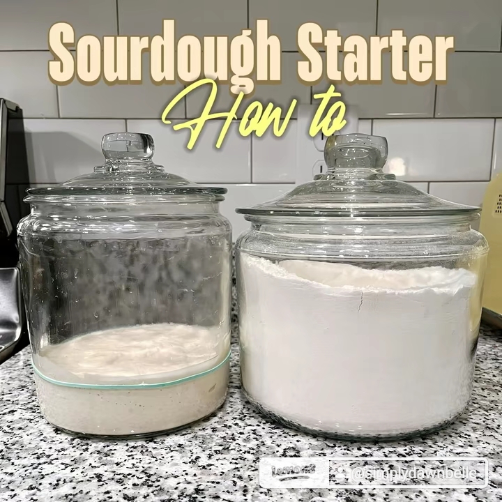 Sourdough Starter